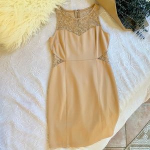 H&M Warm Ochre Lace Cut-Out Bodycon Dress